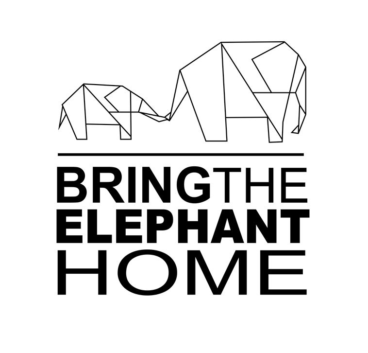 Bring the Elephant Home